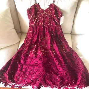 Self Portrait ‘Azalea’ Lace Fit and Flare Dress